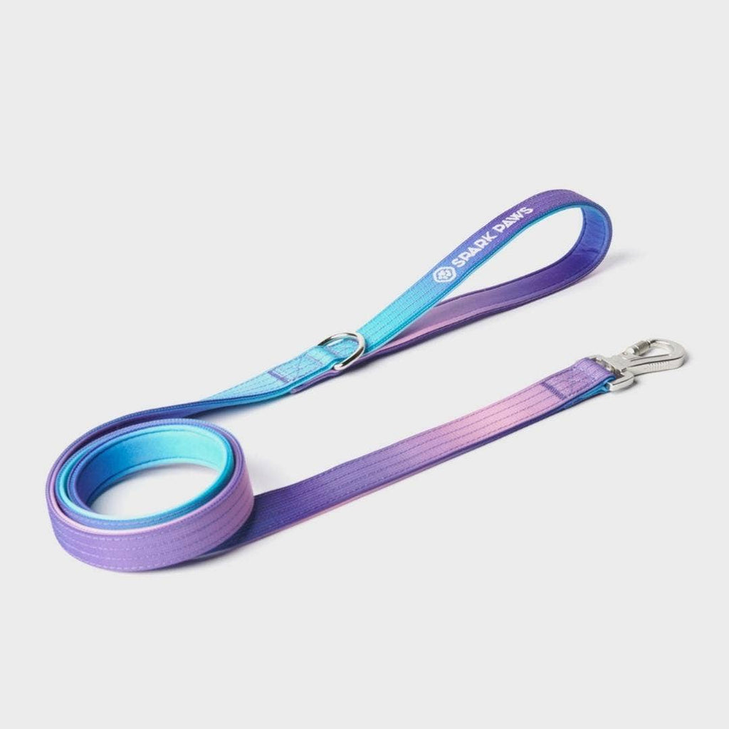 Comfort Control Dog Leash - 90s Retro: OS