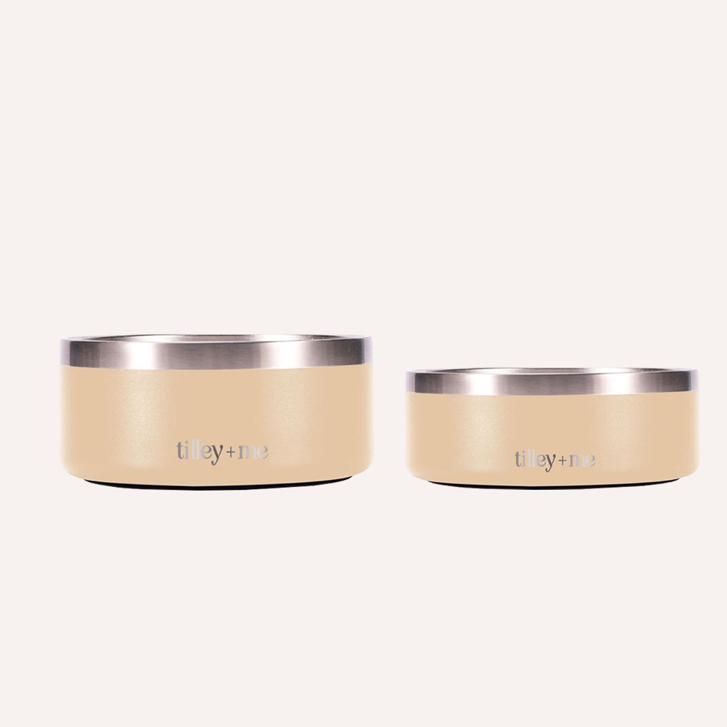 Tilley + Me Stainless Steel Pet Bowl – Non-Slip, Durable & Dishwasher Safe | 32oz and 64oz