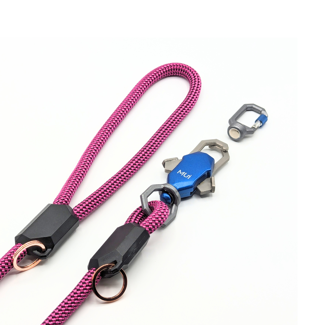 Patented Magnetic Dog Leash - One-Hand Connect & Release