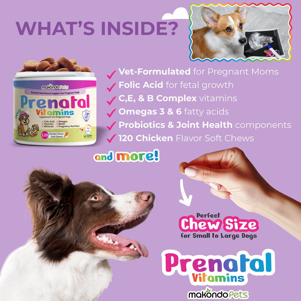 Dog Prenatal Vitamins | All Breeds | 120 Soft Chews